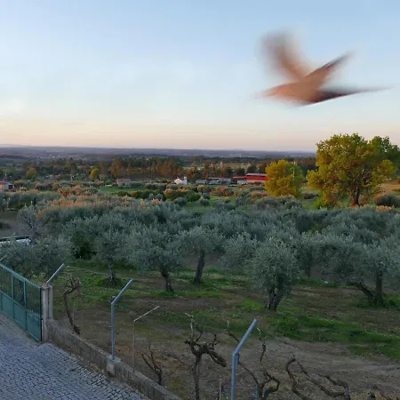 Casa E Piscina Privada *