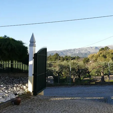 Casa E Piscina Privada * Fundão