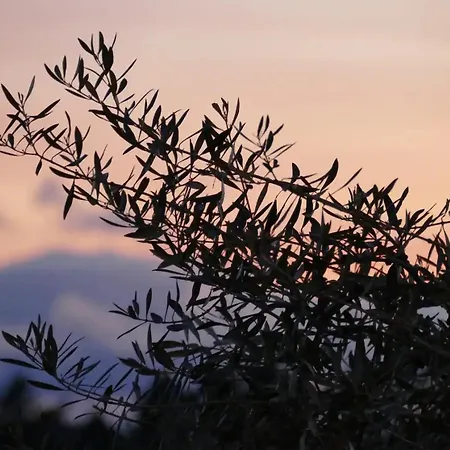 Casa E Piscina Privada Σπίτι διακοπών