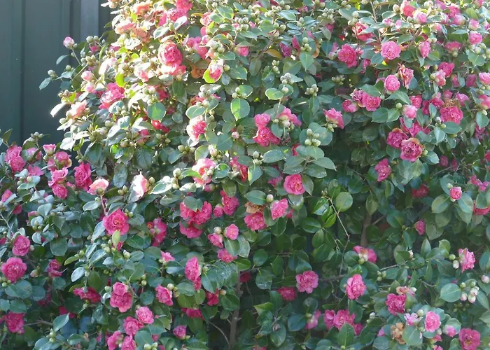 Casa E Piscina Privada Nyaraló *