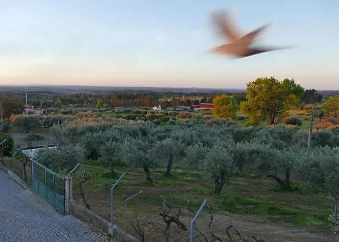 Casa E Piscina Privada *