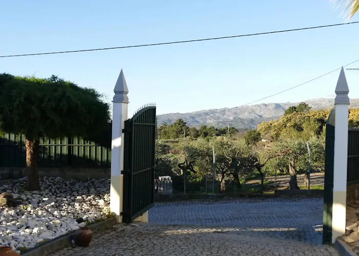 Casa E Piscina Privada * Fundão