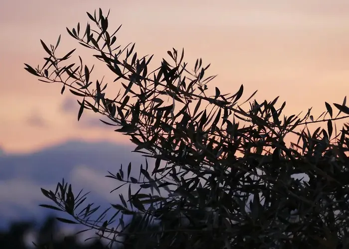 Casa E Piscina Privada Nyaraló